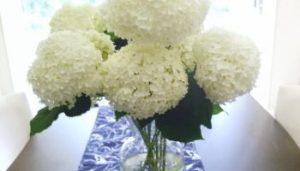 Read more about the article Getting Cut Hydrangeas to Last Longer