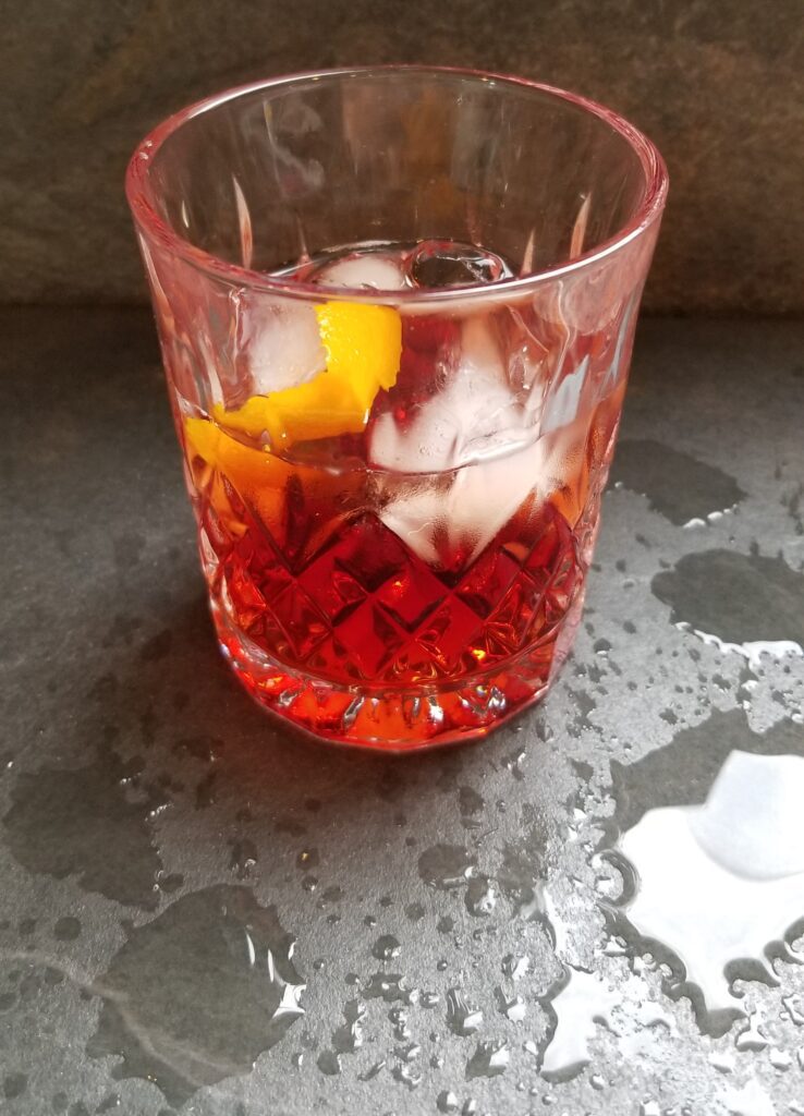 Negroni Classic Italian Cocktail