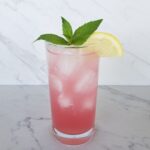 Read more about the article How to make a Rhubarb Tom Collins